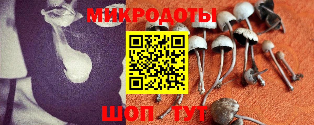 Псилоцибиновые грибы Magic Shrooms  Вход с VPN  Беслан  где купить наркотик  Псилоцибиновые грибы Psilocybine cubensis 